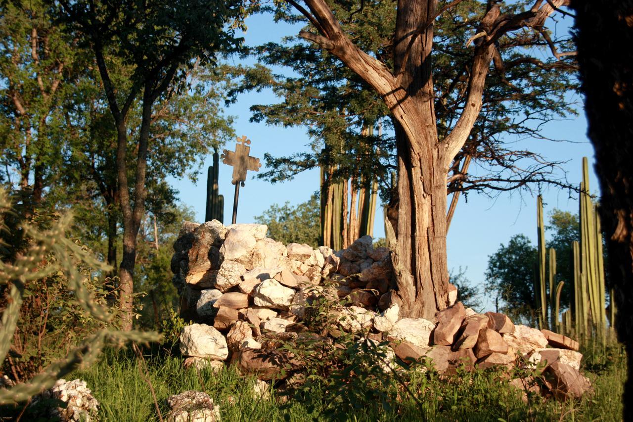 Ghaub Nature Reserve & Farm - One Namibia Grootfontein Extérieur photo